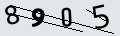 verifycode